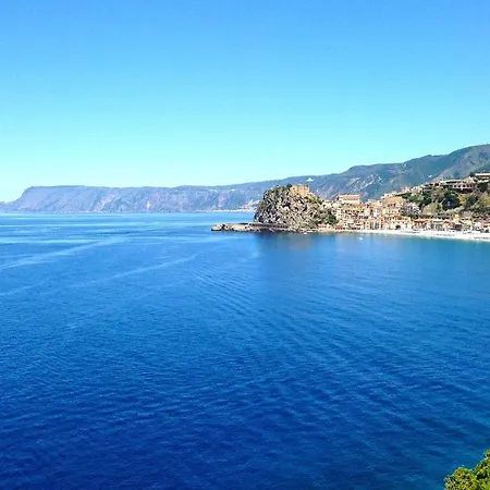 Paladino - E Scilla