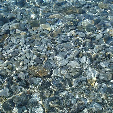 Paladino - E 3* Scilla