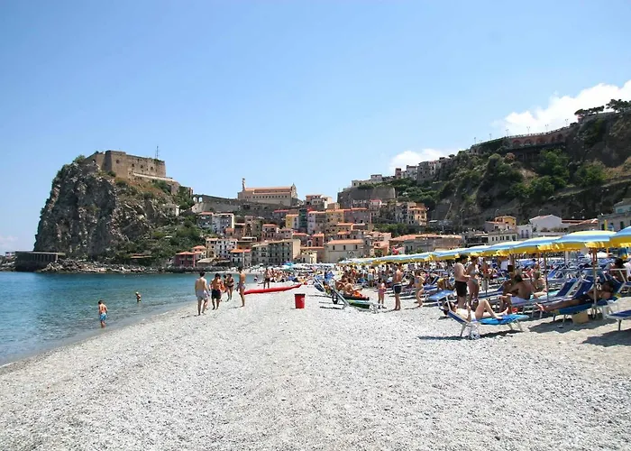 Paladino - E שילה