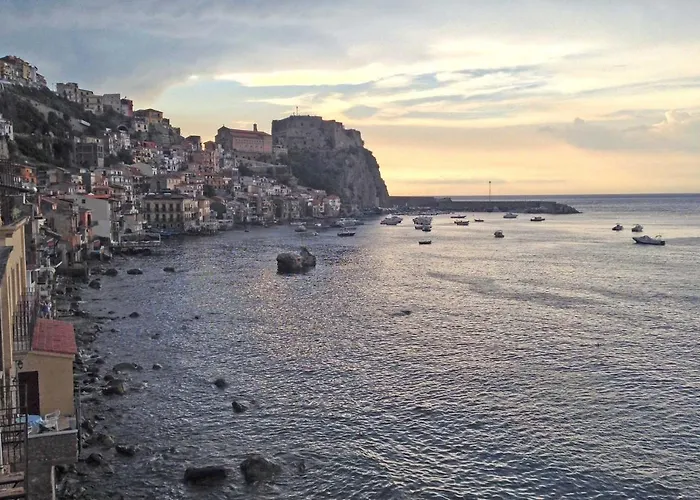 Paladino - E שילה