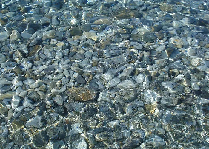 Paladino - E 3* שילה